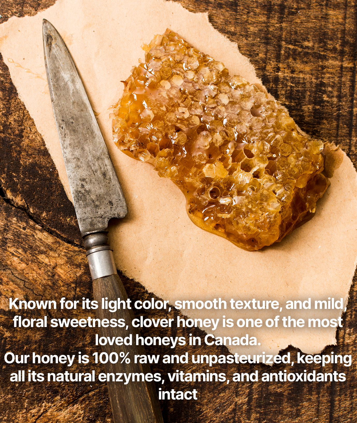 HONEY COMB 1KG